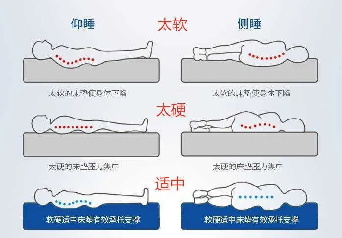 床垫贴合度